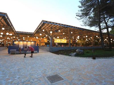 Pine Beach Resort