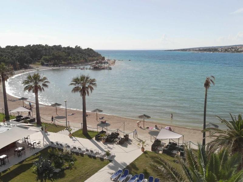 Spiaggia con palme, sabbia e mare blu sotto cielo sereno