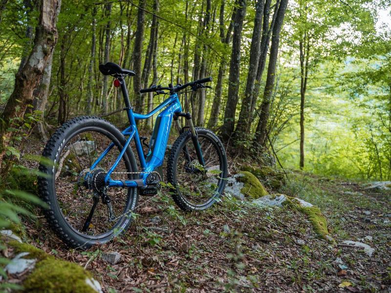 Niebieski rower górski stoi na zalesionej ścieżce leśnej z drzewami w tle.