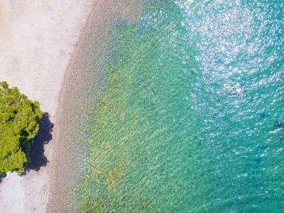 Aerial view of clear shallow sea next to a pebble beach with green tree.