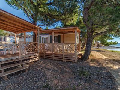 Houten huis met terras naast een boom op het strand met uitzicht op zee.