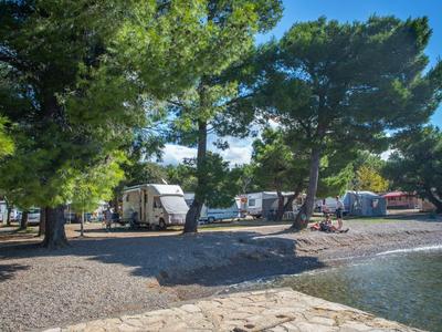 Campsite with caravans and tents among trees near a lakeshore.