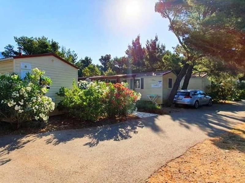 Small holiday cottages in a sunny, green setting with parking spaces and flowering bushes.