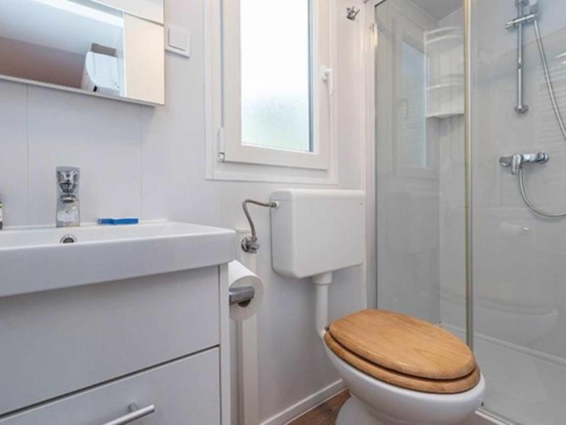 Compact bathroom with shower, toilet with wooden seat, and sink with mirror.