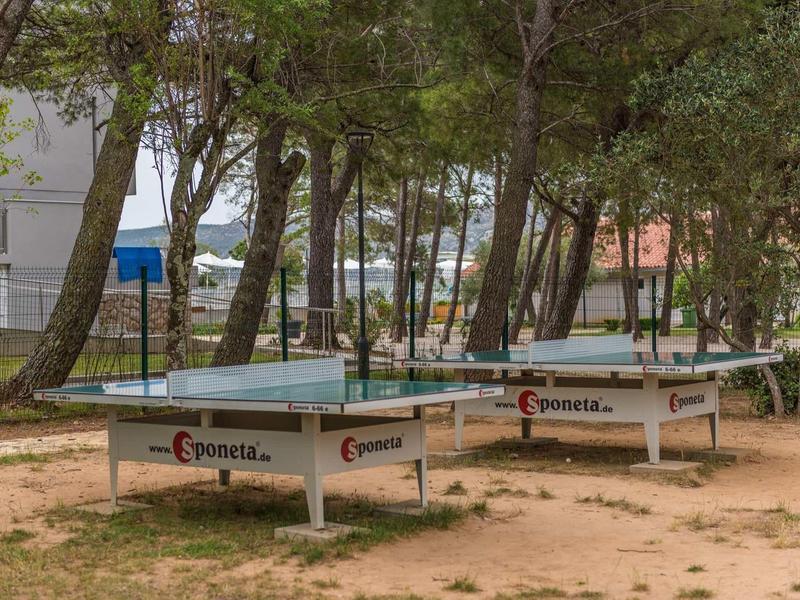 Three outdoor ping-pong tables under trees in a shaded area.