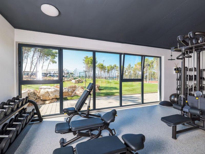 Salle de sport avec haltères et équipements de musculation devant grandes fenêtres sur jardin.