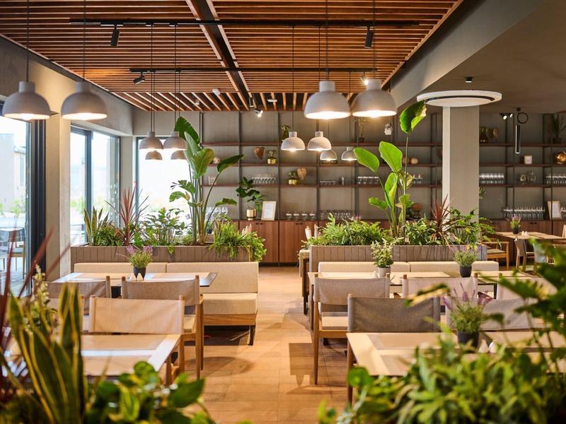 Espace de restaurant d'hôtel moderne avec mobilier en bois et de nombreuses plantes vertes.
