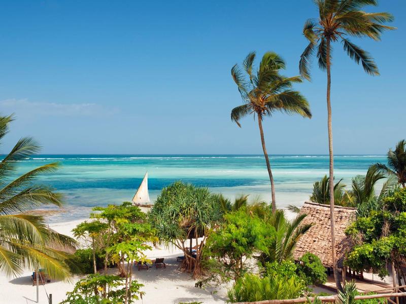 Holzterrasse mit Liegestühlen und grünem Dschungel unter blauem Himmel und Wolken.