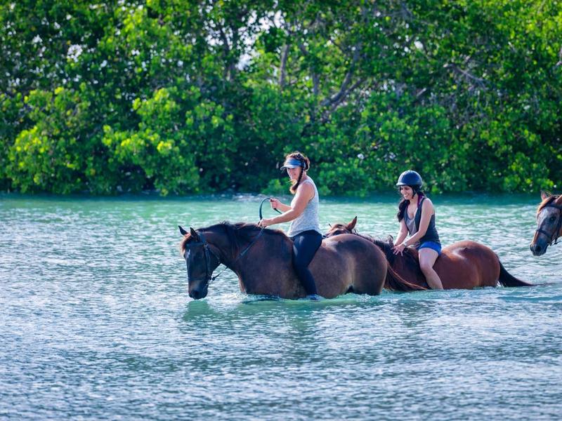 Zwei Menschen reiten auf Pferden durch flaches Wasser vor grünem Ufer mit dichter Vegetation.