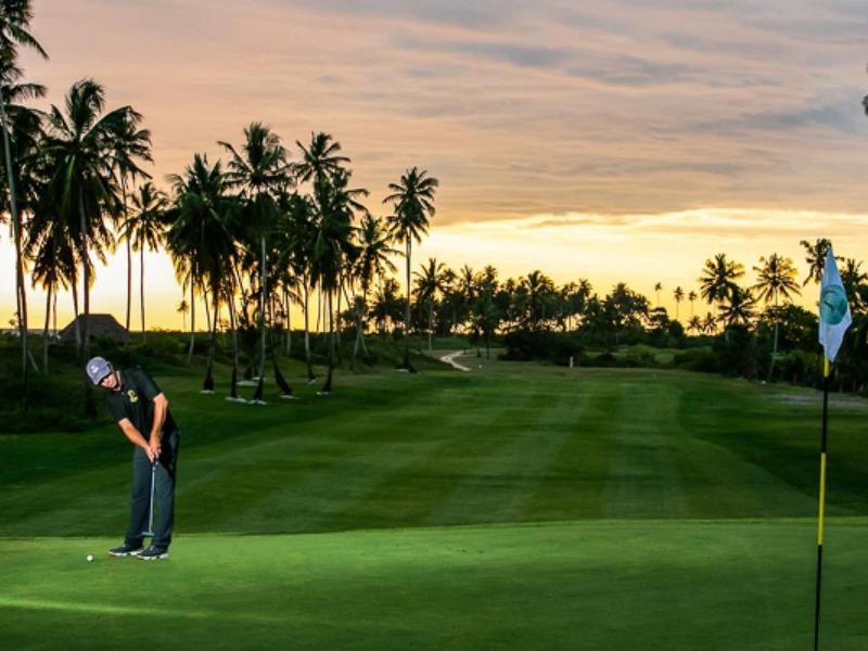 Ein Golfer auf grünem Rasen mit Palmen und Sonnenuntergang im Hintergrund.