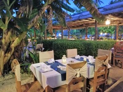 Abendessen im Freien an gedecktem Tisch unter Bäumen mit Stühlen und Beleuchtung.