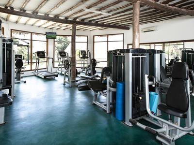 Moderne Fitnessstudio mit Kraftgeräten und großem Fenster für viel Tageslicht.