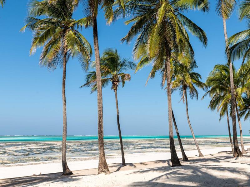 Wit zandstrand met palmbomen en turquoise zee onder een heldere blauwe hemel.