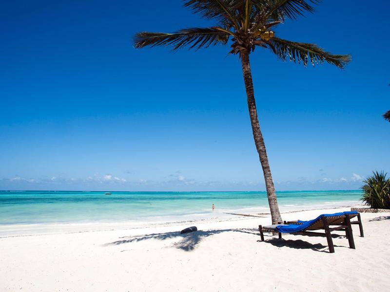 Een eenzame stoel onder een palmboom op een wit zandstrand met turquoise zee op de achtergrond.
