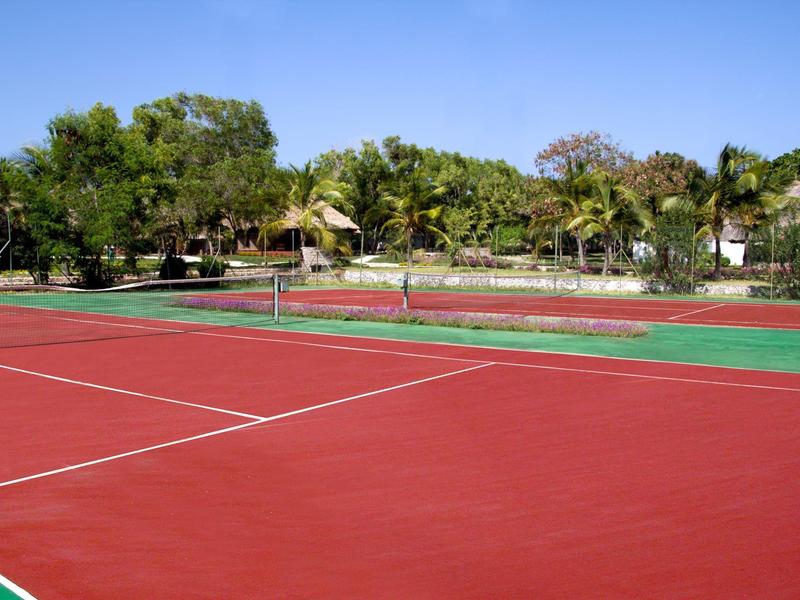 Rode tennisbaan met groene randen en palmbomen op de achtergrond onder een blauwe lucht.
