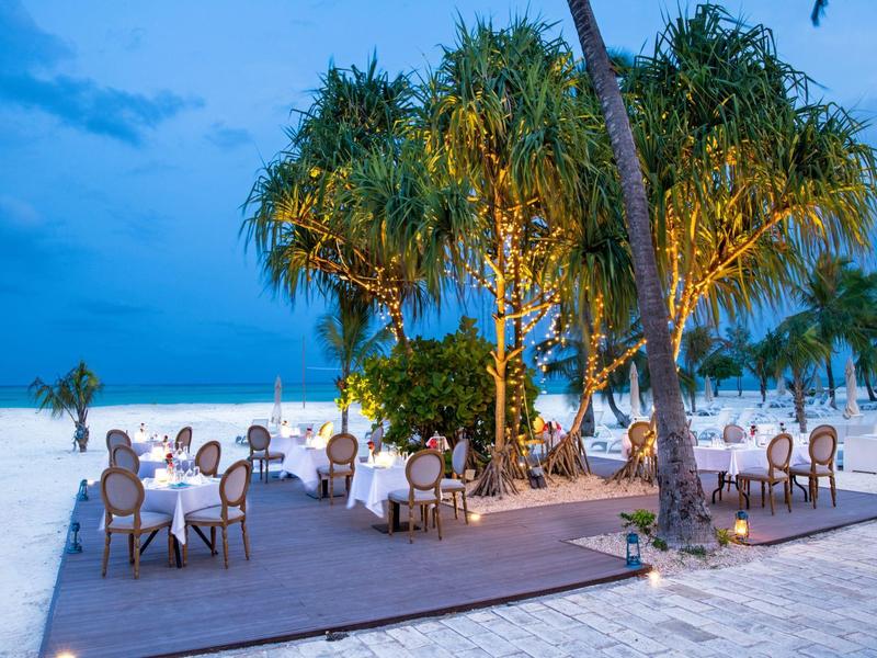 Cena al aire libre en una terraza en la playa con palmeras iluminadas y cielo azul.