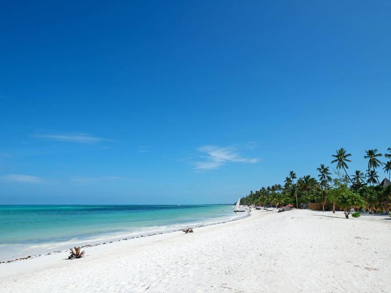 Playa de arena blanca con agua turquesa y palmeras bajo un cielo azul despejado.