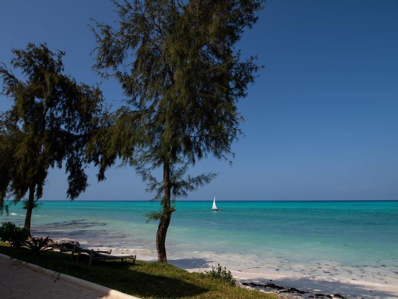 Spiaggia di sabbia con due alberi, sdraio e una barca a vela su mare turchese sotto il cielo sereno.