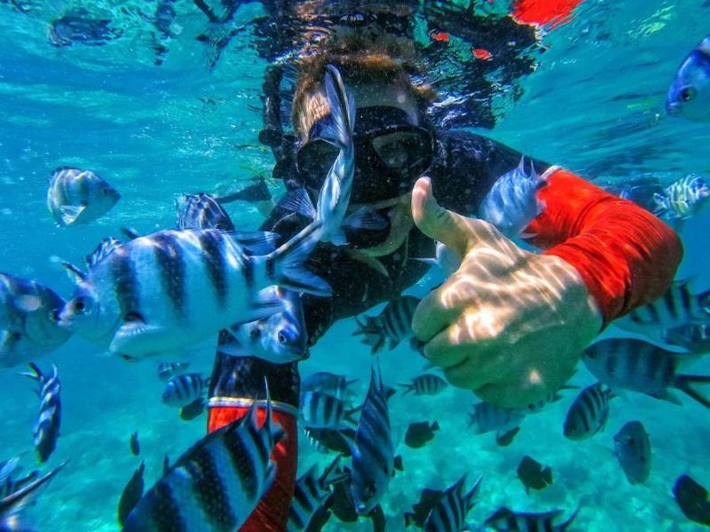 Taucher in rotem Anzug gibt Daumen hoch, umgeben von vielen blau-gestreiften Fischen im klaren Wasser.