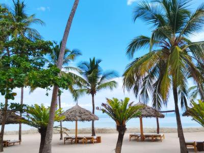 Sandstrand mit Palmen, Sonnenschirmen und Holzbänken unter klarem blauem Himmel.