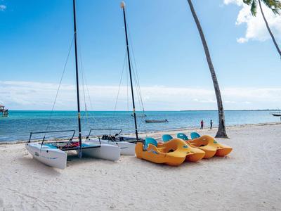 Sailboats and pedal boats rest on the white sandy beach beside palm trees by the sea.