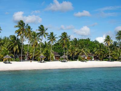 Strand mit weißem Sand, kristallklarem Wasser und vielen hohen Palmen unter blauem Himmel.