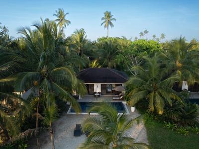 Luxury villas with private pools surrounded by dense palm trees under a clear sky.