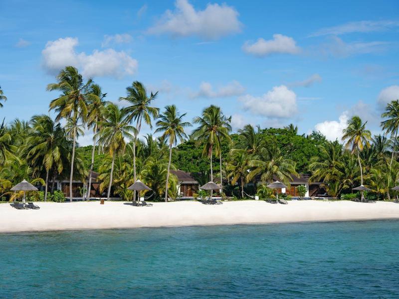Strand mit weißem Sand, kristallklarem Wasser und vielen hohen Palmen unter blauem Himmel.