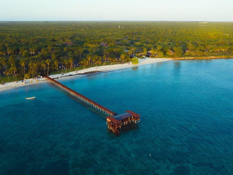 Langgestreckter Holzsteg führt in türkisblaues Meer vor bewaldetem Strand.