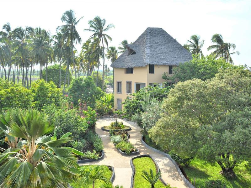 Großer Garten mit gepflastertem Weg, umgeben von Palmen und grünen Bäumen vor einem Haus mit Strohdach.