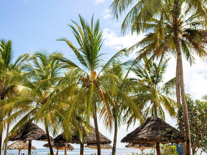Ein Pool mit blauem Wasser, umgeben von grünen Palmen und Sonnenschirmen unter blauem Himmel.