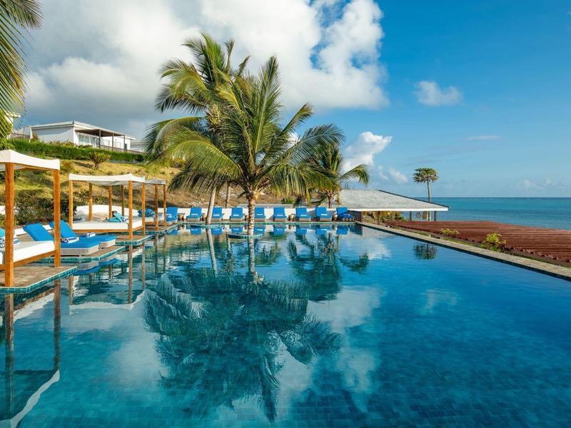 Infinity pool with palm trees and lounge chairs overlooking the ocean on a sunny day.
