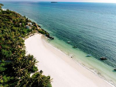 Vista aérea de una playa tropical de arena blanca con palmeras y mar azul tranquilo.