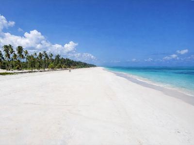 Ampia spiaggia di sabbia bianca con palme e acqua blu chiara sotto un cielo azzurro