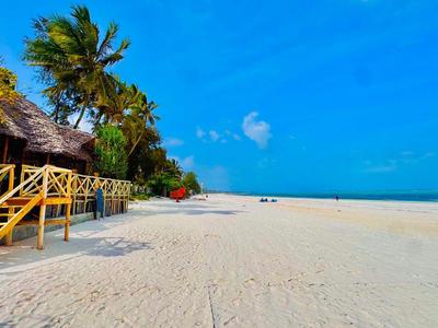 Szeroka biała piaszczysta plaża z palmami i chatą pod czystym niebieskim niebem.
