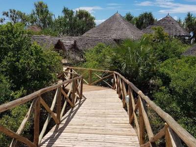 Holzbrücke mit Geländer führt durch grüne Vegetation zu strohgedeckten Hütten unter blauem Himmel.